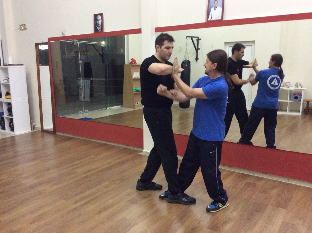 wing tsun kung fu 8-11-2015 h