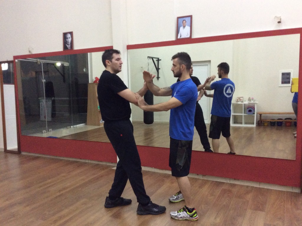 wing tsun kung fu 8-11-2015 f